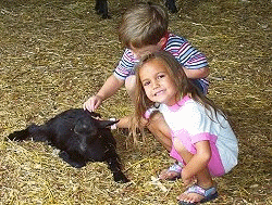 PettingFarm Petting Farm | Beech Bend Amusement Park - Bowling Green, KY